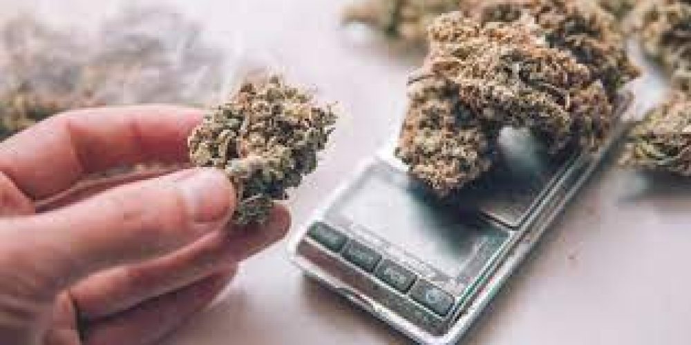 Get your purchase without inconvenience with the fast weed delivery Vancouver