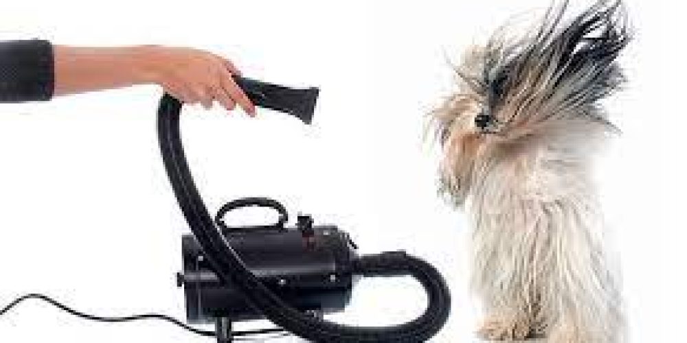 Effortless Fur Fluffing: Mastering Dog Grooming Dryer Techniques
