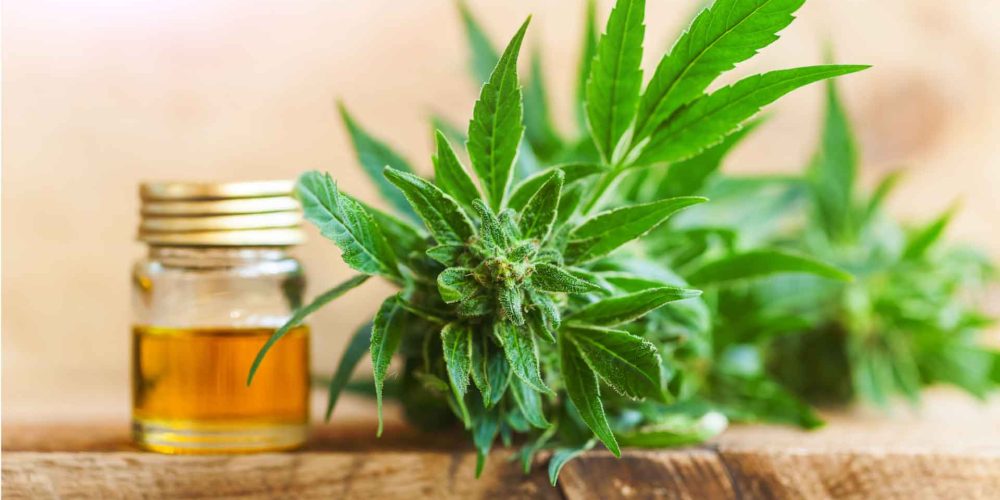 Are Online Cannabis Flower Stores Legal?