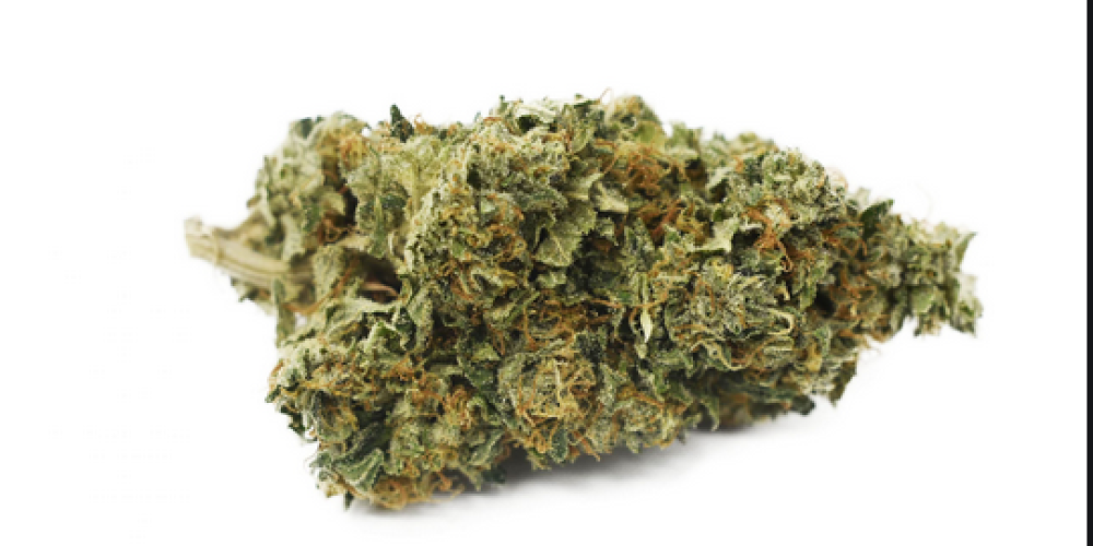 Which Are The Stuff You Have To Have For Starting A Web-based Weed Dispensary?