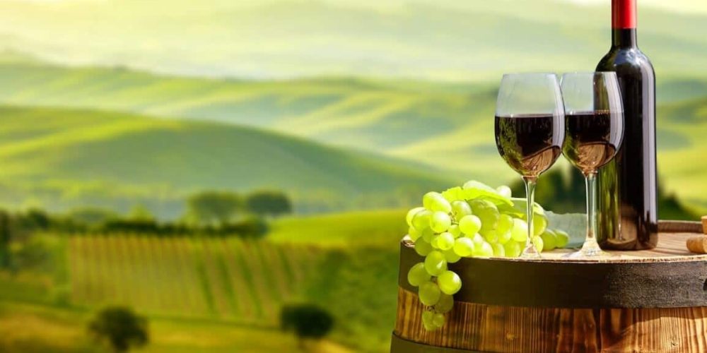How To Find The Perfect Wine For Your Taste