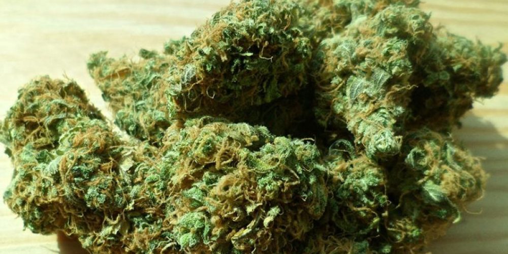 Discover the site where you can buy CBD online from the best and reliable brand