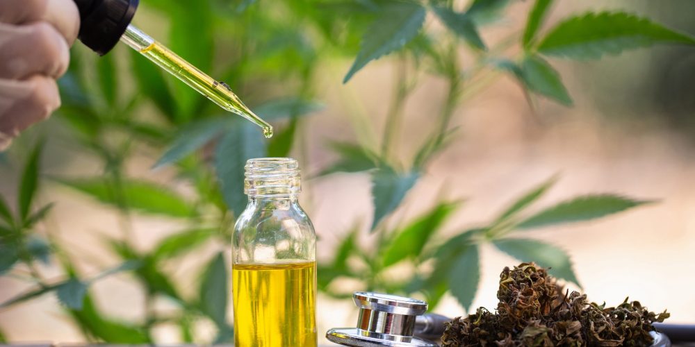 All You Need to Know Huile de CBD