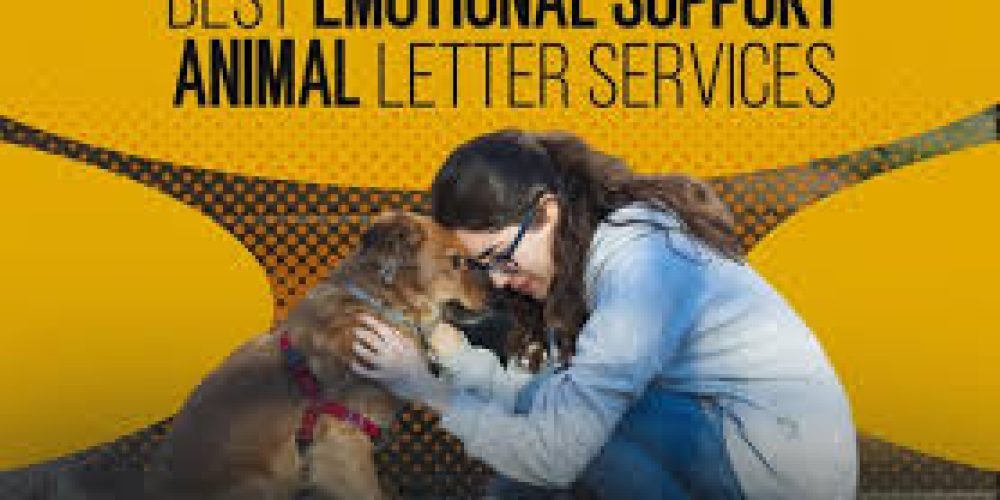 ESA Letter for Housing: Navigating the Emotional Support Animal Accommodation Process